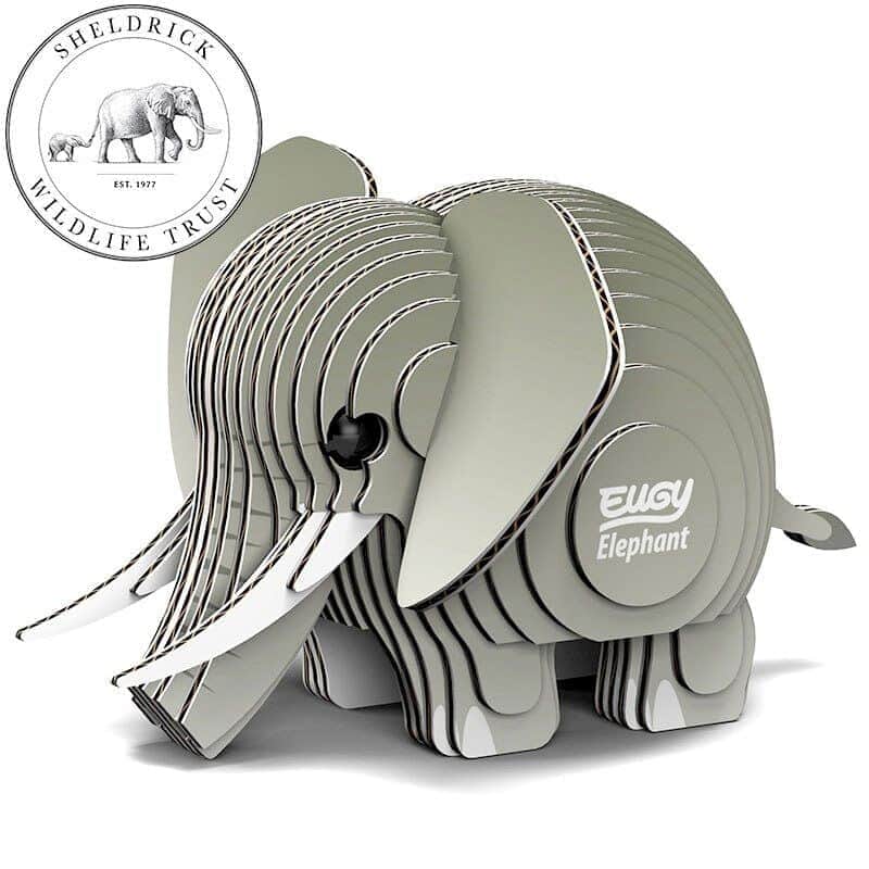 יוגי פיל | eugy