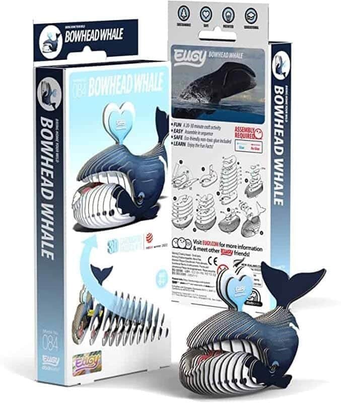 יוגי לוויתן ראשתן|EUGY