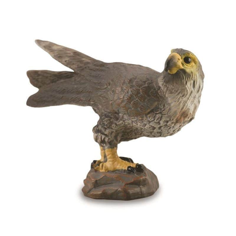 חיות בר - בז נודד (S) |CollectA