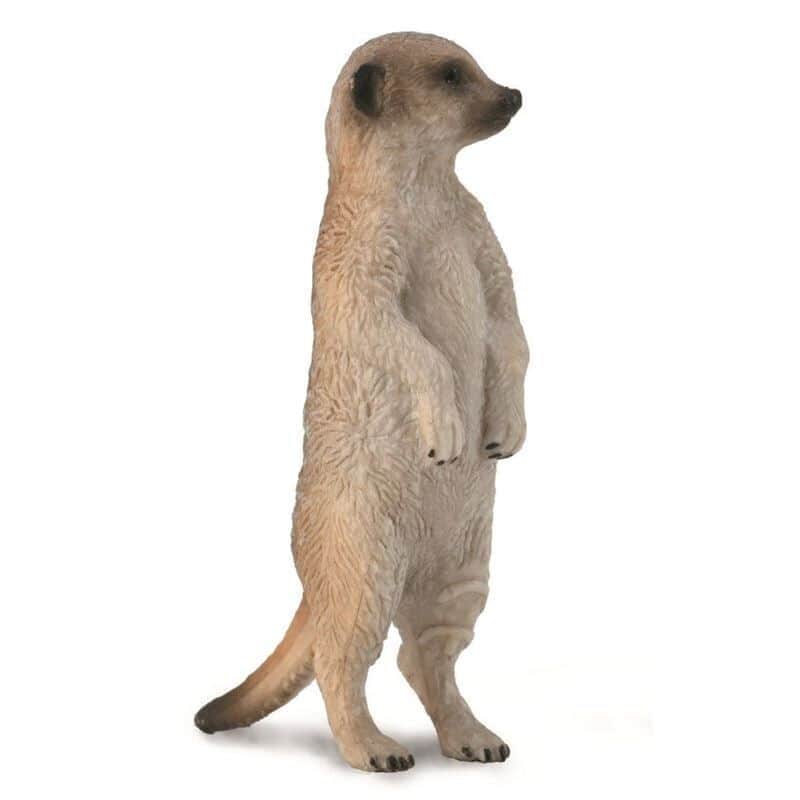 חיות בר - סוריקטה (S)|CollectA