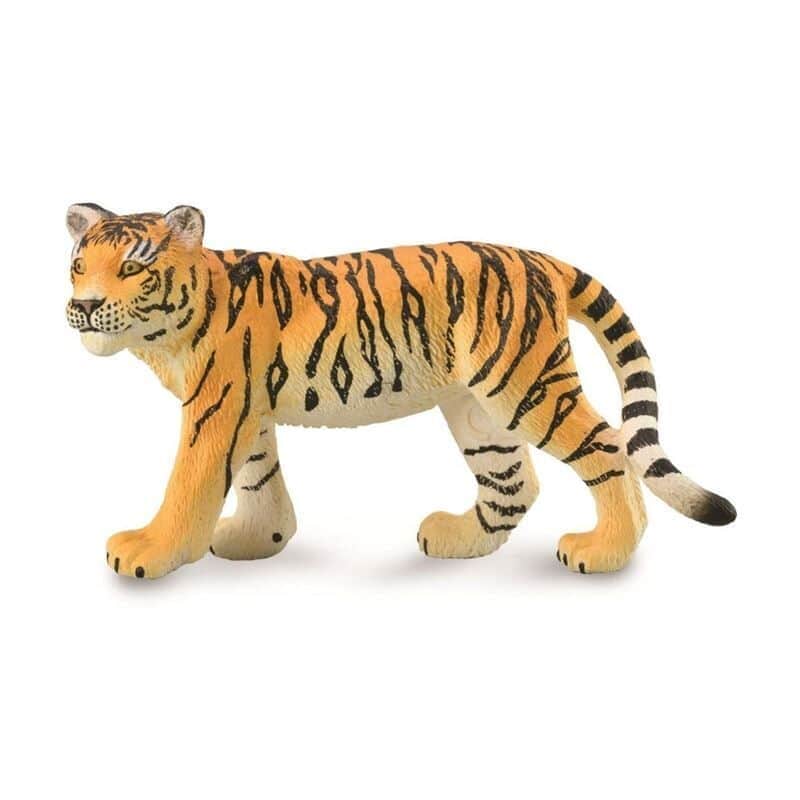חיות בר- גור טיגריס (M)|CollectA