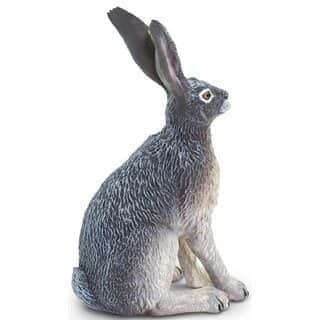 ארנבת שחורת זנב | Safari