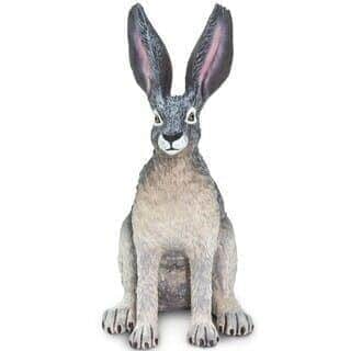 ארנבת שחורת זנב | Safari