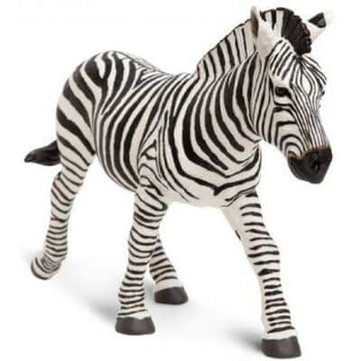 זברה סדרה גדולה 111489