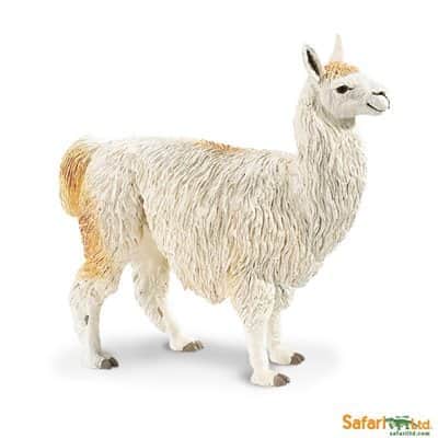 safariltd-llama-227429-1