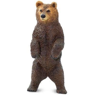 דוב גריזלי עומד על 2 רגליים | Safari