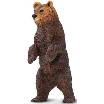 דוב גריזלי עומד על 2 רגליים | Safari