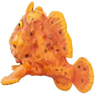 דג צפרדע 100070