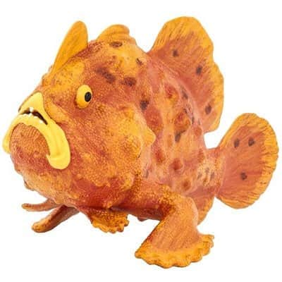 דג צפרדע 100070