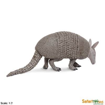 safariltd-armadillo-262829-1