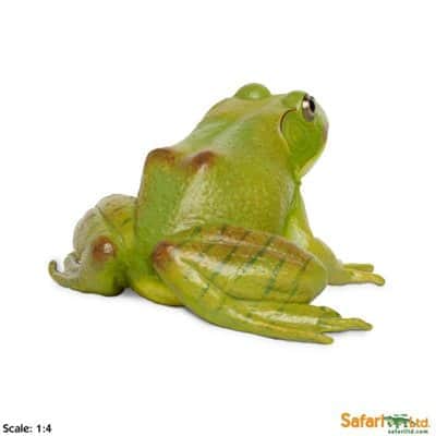 safariltd-american-bullfrog-268729-1