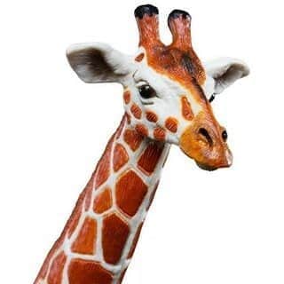 ג'ירף הסדרה הגדולה | Safari