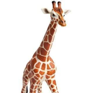 ג'ירף הסדרה הגדולה | Safari