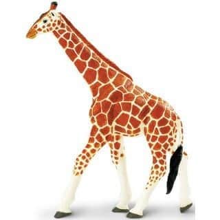 ג'ירף הסדרה הגדולה | Safari