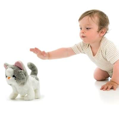 שאשא החתולה - הולכת, מייללת ומכשכשת בזנב 17 ס"מ