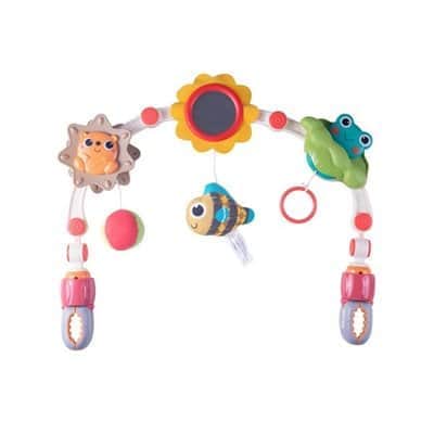 קשת פעילות חיות וחיוכים