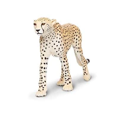 ציטה הסדרה הגדולה | Safari