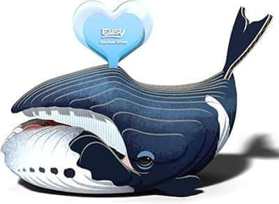 יוגי לוויתן ראשתן|EUGY