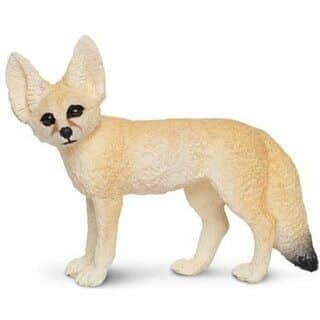 שועל פנק | Safari