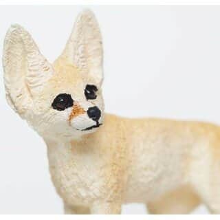 שועל פנק | Safari