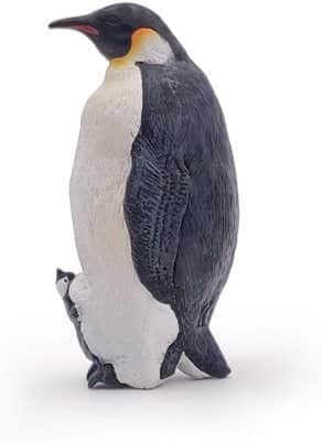 פינגווין קיסר | PAPO