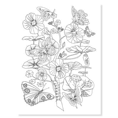 יצירה - חוברת צביעה - טבע |Djeco