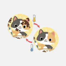 ספרון קסם לאמבטיה חווה