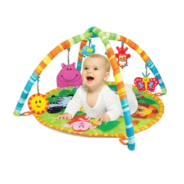 אוניברסיטה ומשטח משחק חיות הג'ונגל