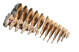 יוגי גמל | EUGY