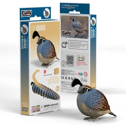 יוגי שליו | EUGY