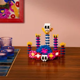 פלוס פלוס | ערכת הרכבה בהשראת פרידה קאלו