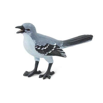 ציפור חקיינית