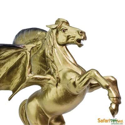 אריון הזהב | Safari