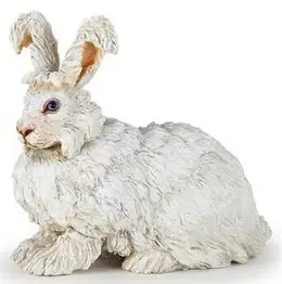 ארנב לבן | PAPO