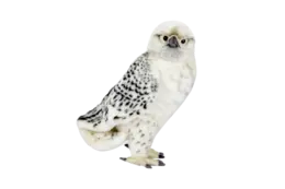 בובת פרווה בז שלג | Hansa