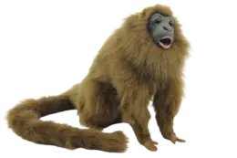 בובת פרווה קוף שאגן | Hansa