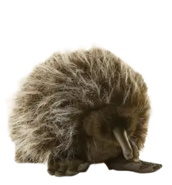 בובת פרווה קיפודן